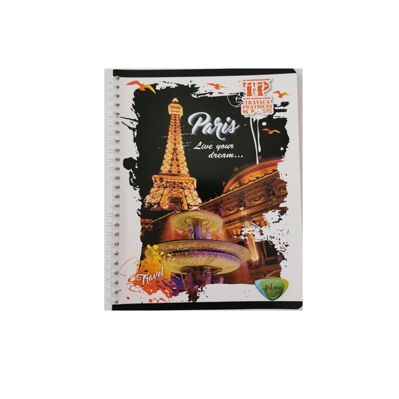 TP PETIT MODELE PILOTE